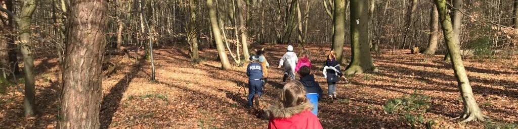 Ein Tag im Wald