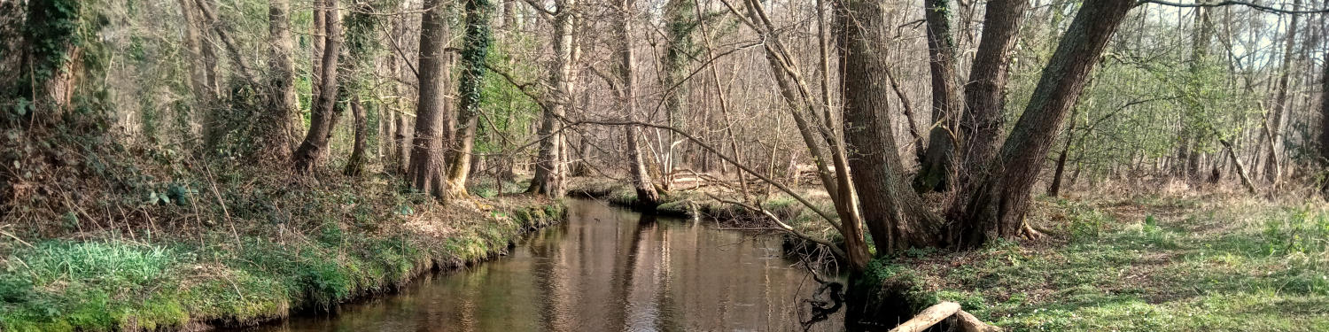 Angerdorf Rickelrath spendet an die Waldgeister